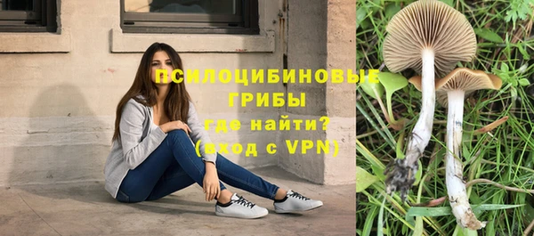 метамфетамин Алексеевка