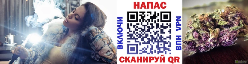 Каннабис конопля Ессентукская
